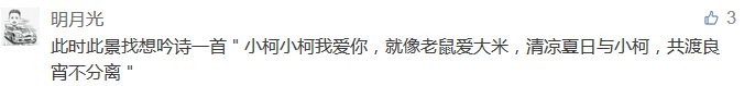 此時(shí)此景找想吟詩一首＂小柯小柯我愛你，就像老鼠愛大米，清涼夏日與小柯，共渡良宵不分離＂-科頤辦公分享